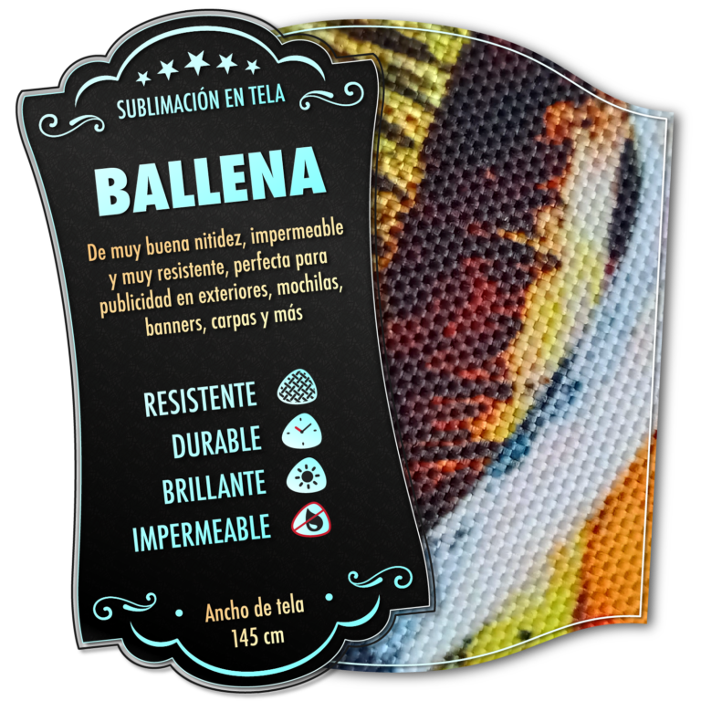 Ballena